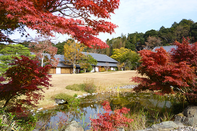 秋の風景、旬、紅葉