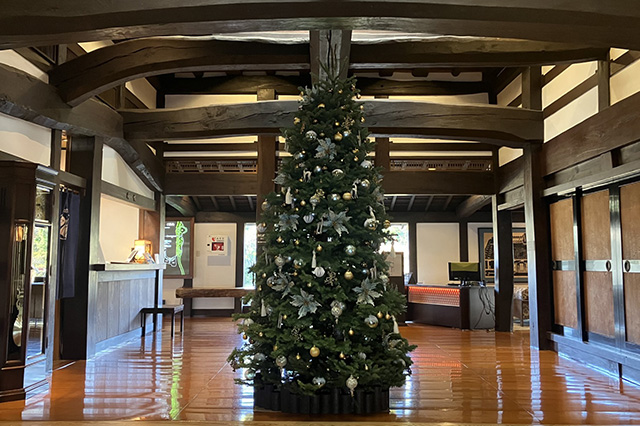 クリスマスツリー、christmas tree