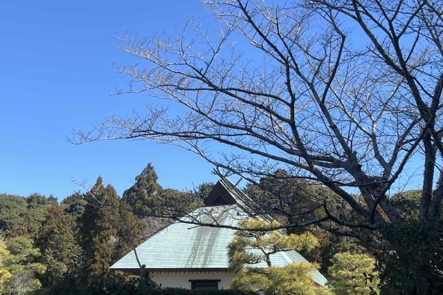 北の丸