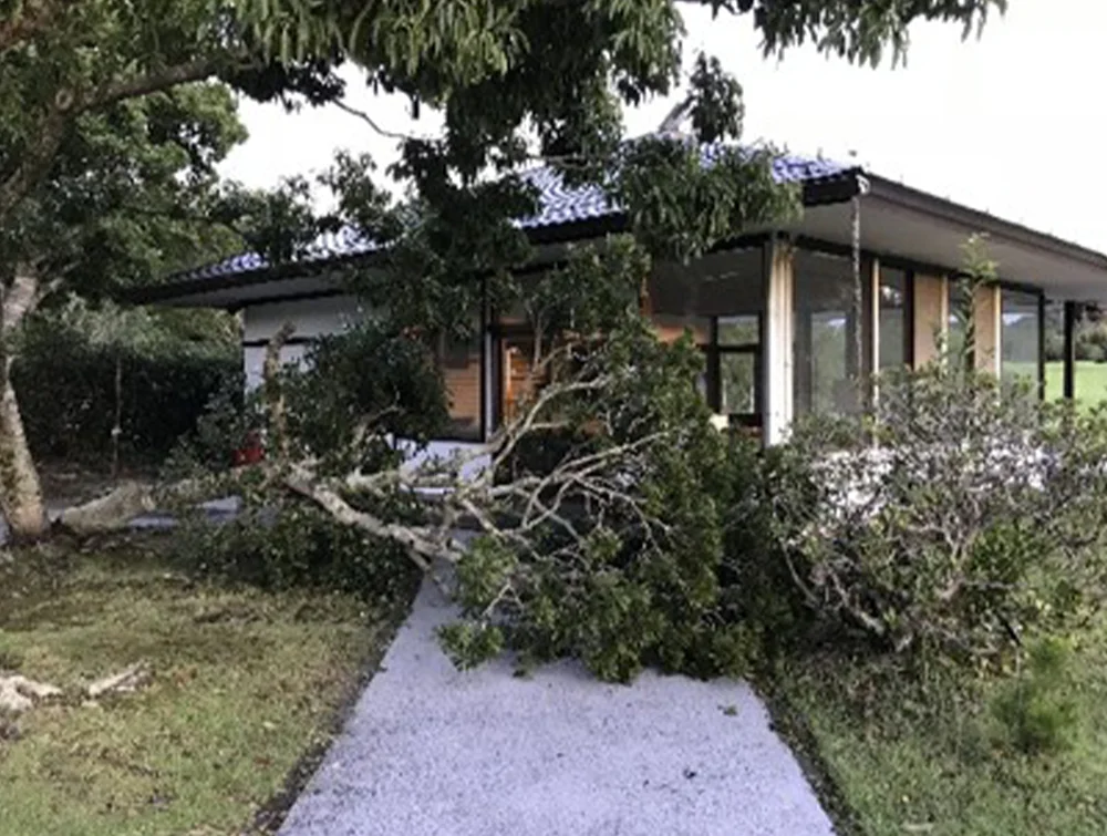 台風24号からの復旧作業