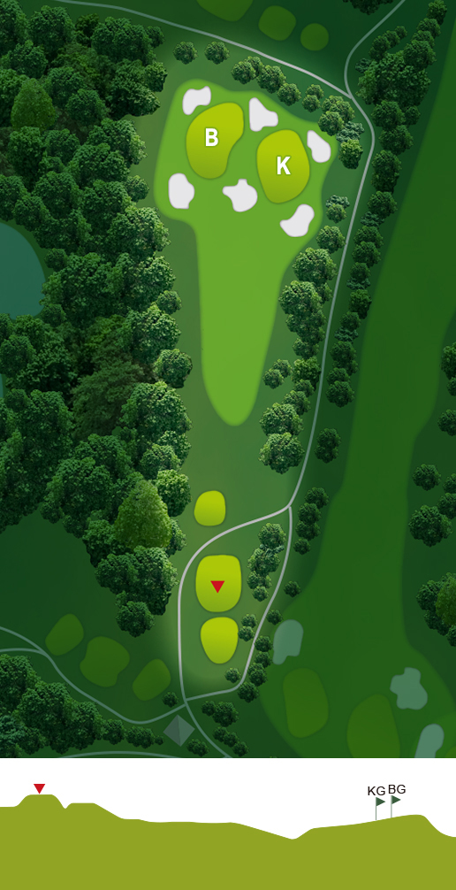 山名コース Hole 7 の図