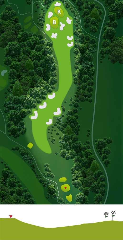 山名コース Hole 15 の図